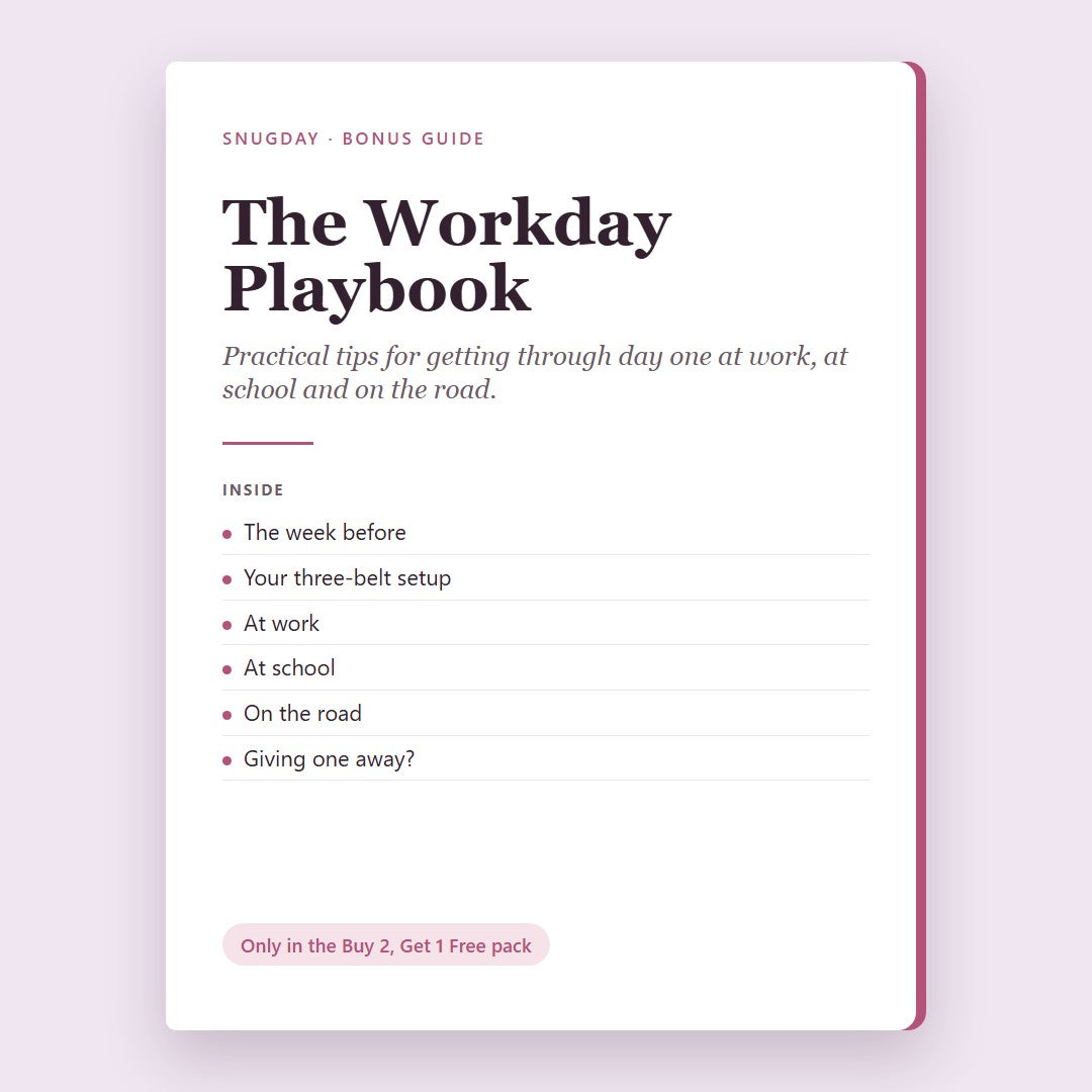 Cover of The Workday Playbook guide